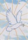 God is pure spirit and fire. On the material plane He is best represented as a snow white dove.